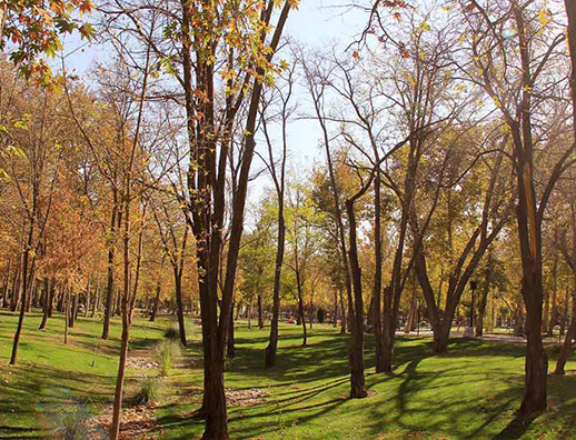 پارک-ملت-مشهد3